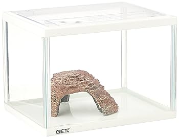 かめ！ページです。 Amazon | 亀の水槽 W65*D34.5*H18CM 亀ケージ カメ 大きい